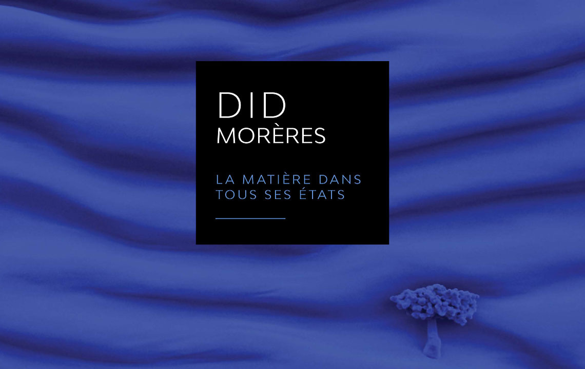 didmoreres monochrome oeuvres tableau sculpture galerie honfleur saint paul de vence monochrome bleu klein Soulage artisan decoration