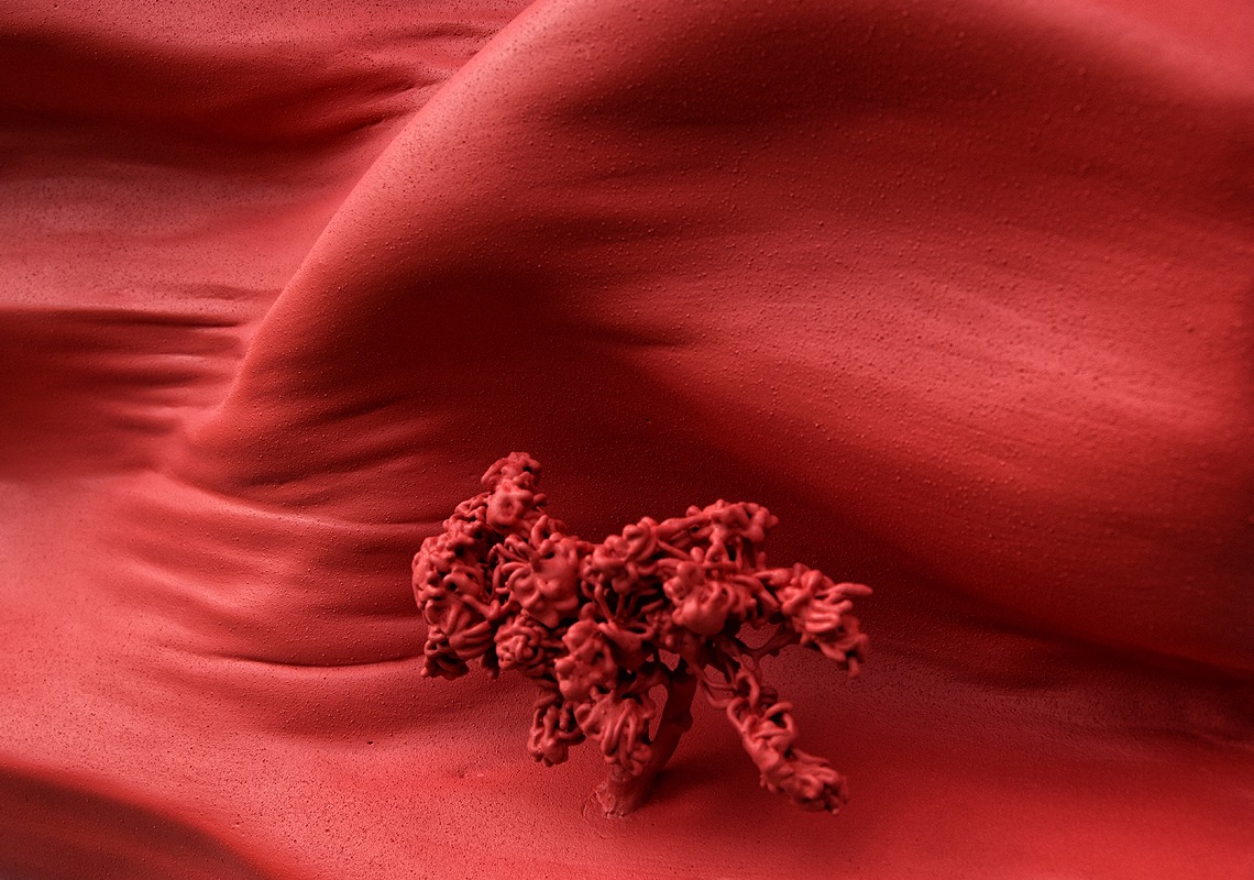 zoom arbuste artificiel poudrÃ© pigments rouges crÃ©ation unique 