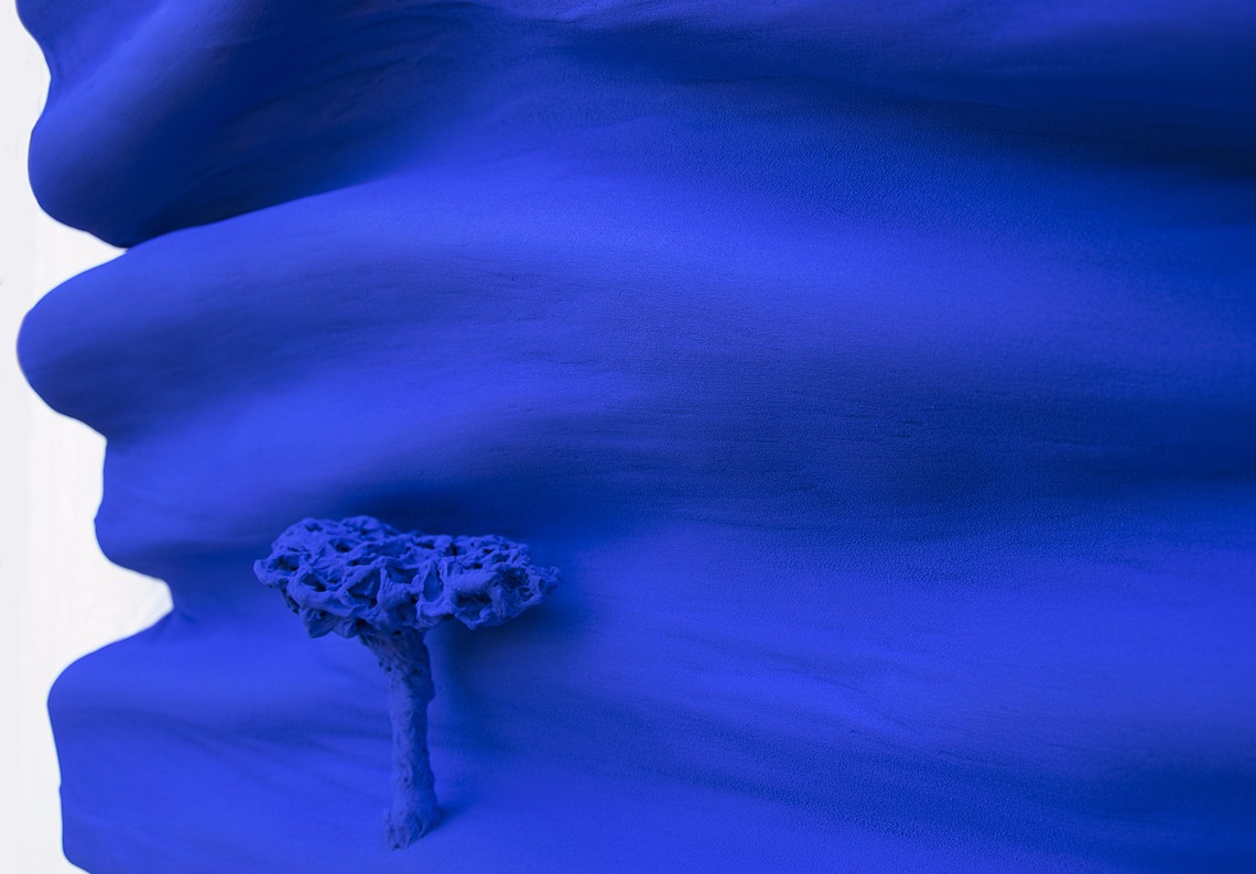 arbre végétal bleu klein monochrome peintre Did Morères 