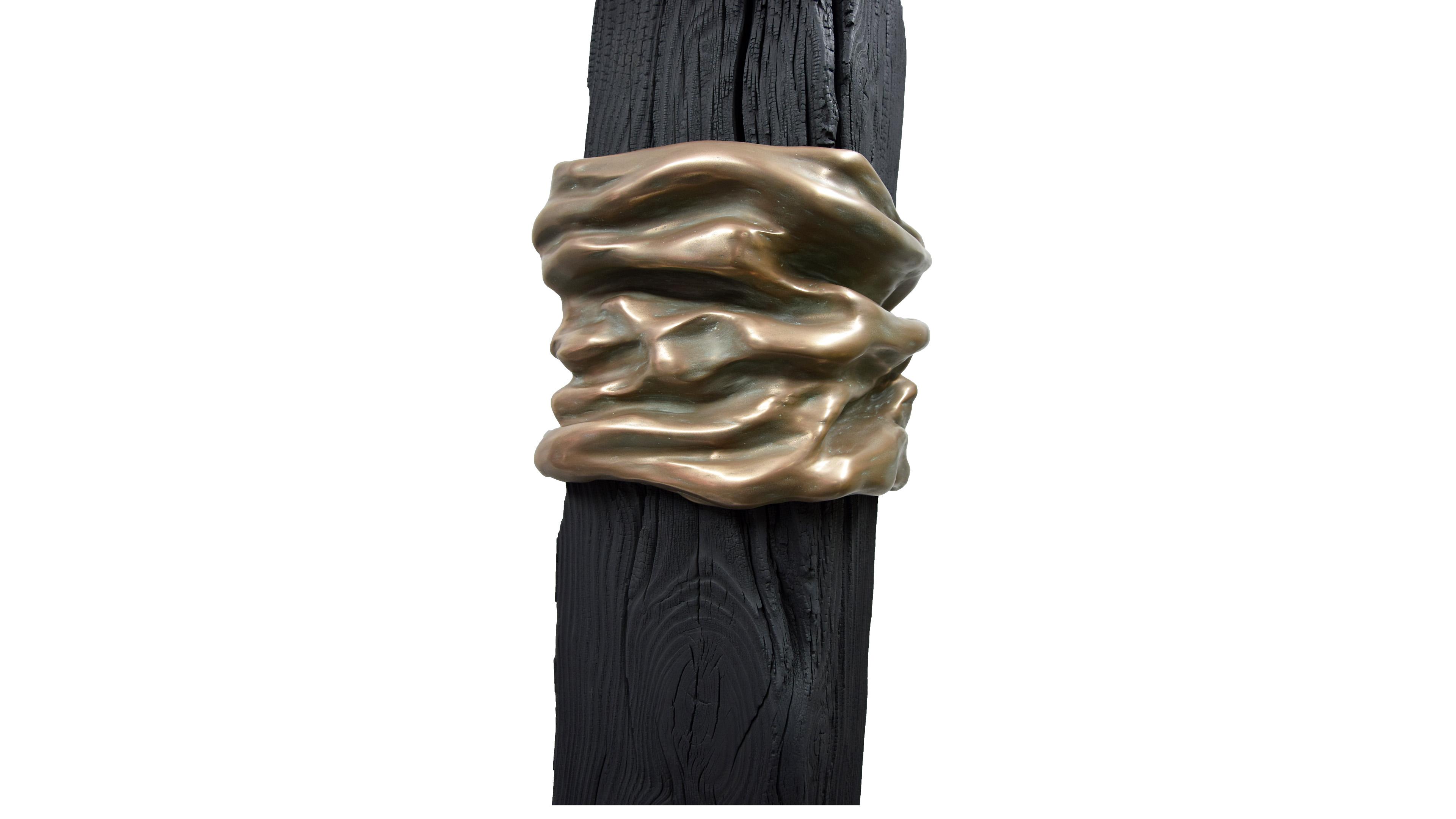 sculpture treeheart black noir bois wood monochrome soulages didmoreres bois brulé bronze ondulation vague plâtre 